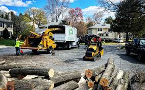 Best Tree Risk Assessment  in Lyman, SC