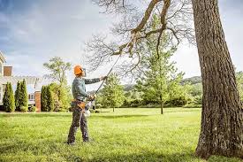 Lyman, SC Tree Services Company